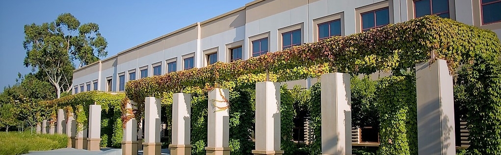 Site header: A front view of the Multipurpose Science and Technology Building.